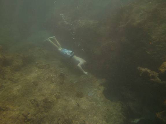 O Rafa averigua o fundo do mar durante snorkel na Shark Cove, na North Shore de Oahu, no Havaí